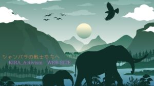 ブログタイトル「シャンバラの戦士たちへ」の由来